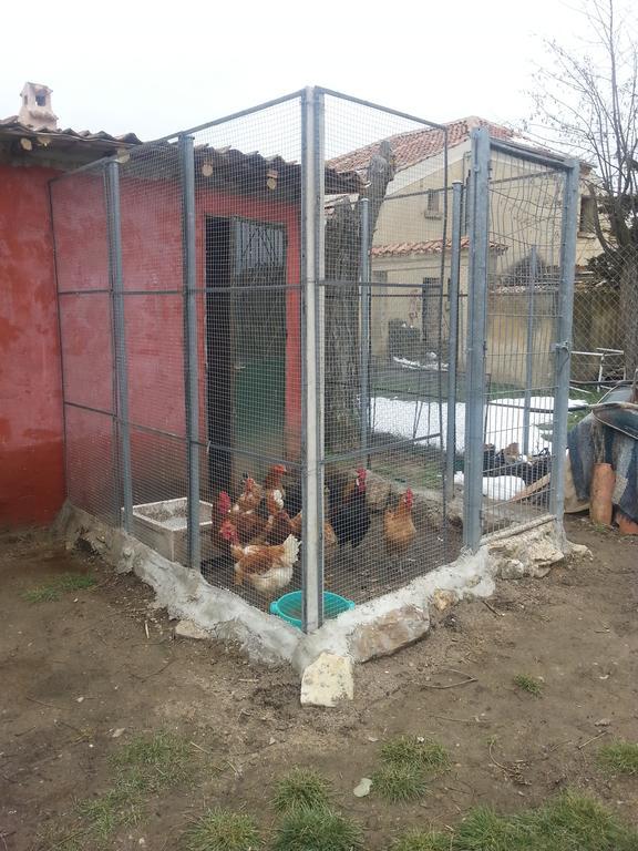 El Refugio Del Dragon Hostel Arcones Buitenkant foto
